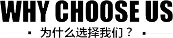 研發(fā)優(yōu)勢